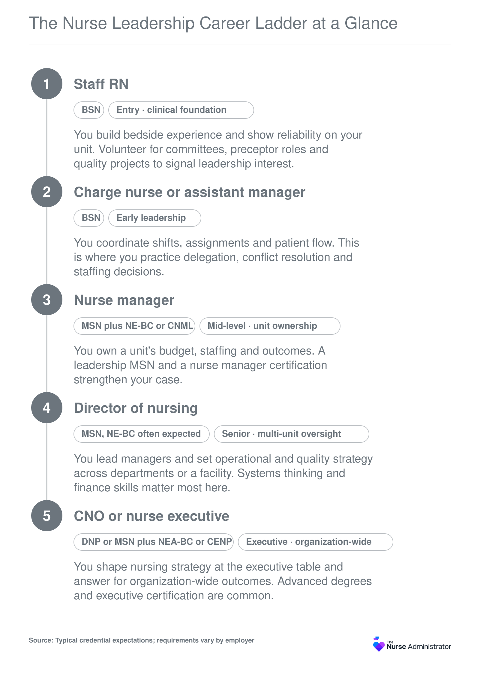 Five-rung nurse leadership career ladder from staff RN to CNO, paired with typical credentials from BSN through DNP and NEA-BC