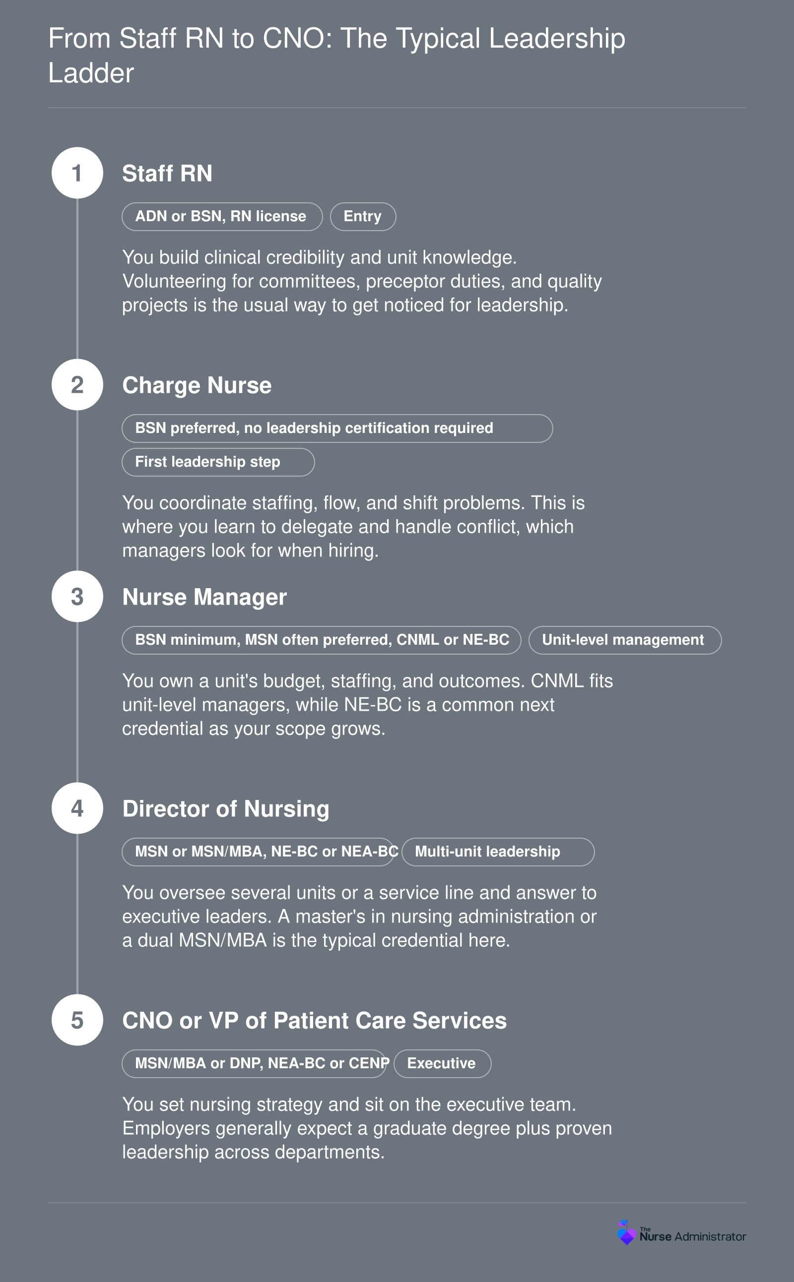 Five-rung nursing leadership ladder from staff RN to CNO, pairing BSN, MSN, MSN/MBA, and DNP credentials with CNML, NE-BC, NEA-BC, and CENP certifications