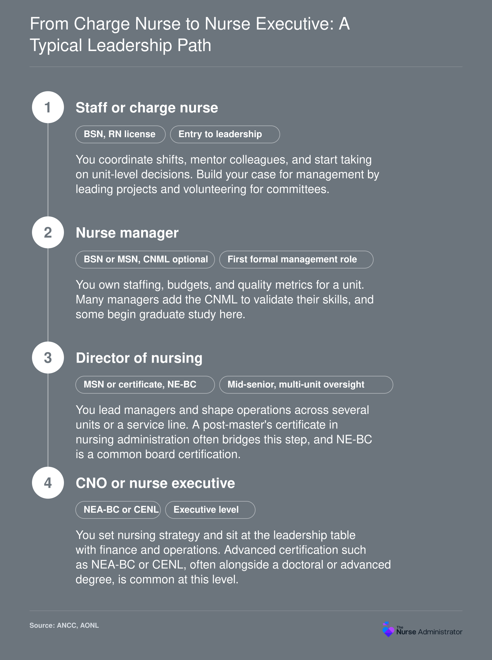 Four-stage nursing leadership path from staff or charge nurse to nurse manager, director of nursing, and CNO, with typical credentials at each stage