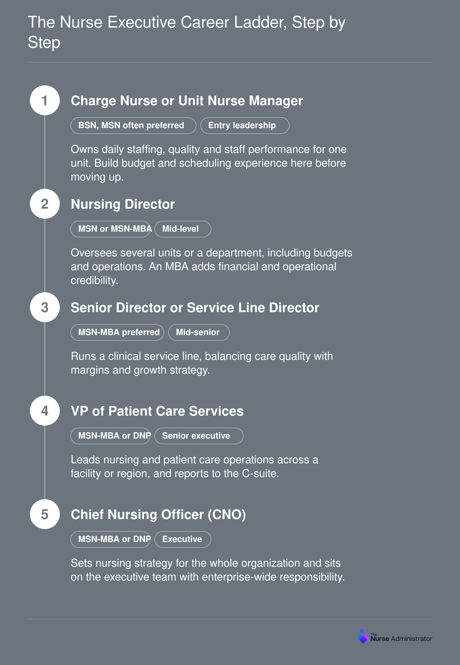 Five-rung nurse executive ladder from nurse manager to chief nursing officer, with typical BSN, MSN, MSN-MBA and DNP credentials